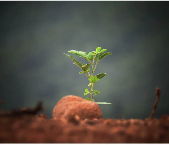 6 Life Changing Lessons Learned In 2018