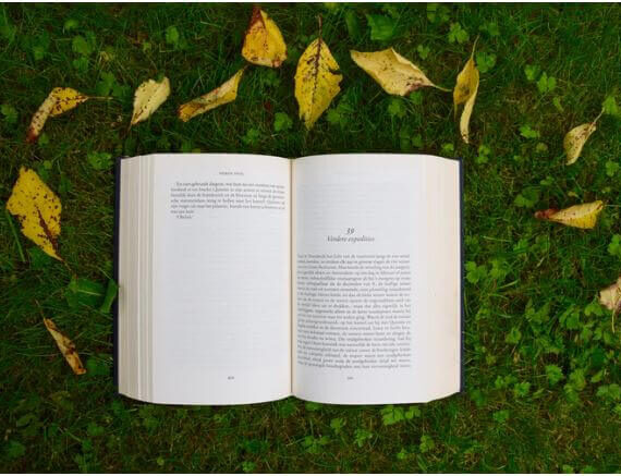How To Get Back To Reading If You’ve Stopped