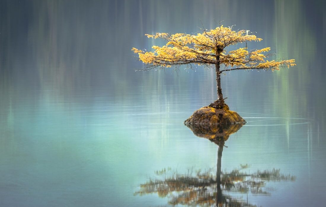 Featured Image