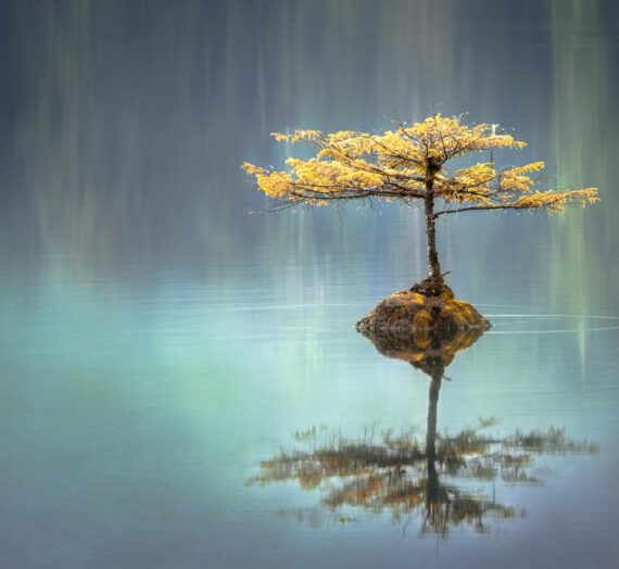 5 Things To Do To Stay Calm | Post 10