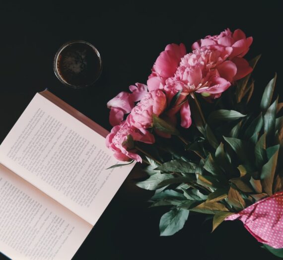 My Top 6 Reads Of 2020!