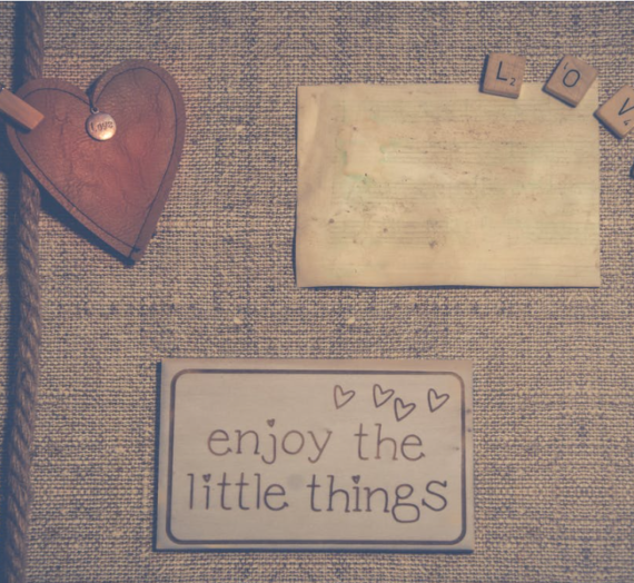 All Things Around Books | Day 5 of Blog Marathon
