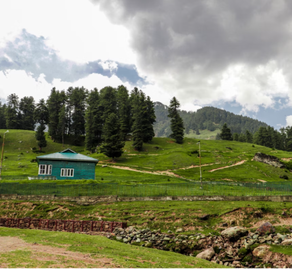 Honeymoon Travels Pvt. Ltd. | Day 2 | Pahalgam