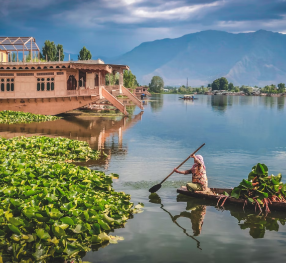 Kashmir Tour – Day 1 With Veena World | Dal Lake